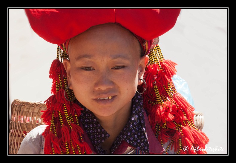 46 Hmong's portraits